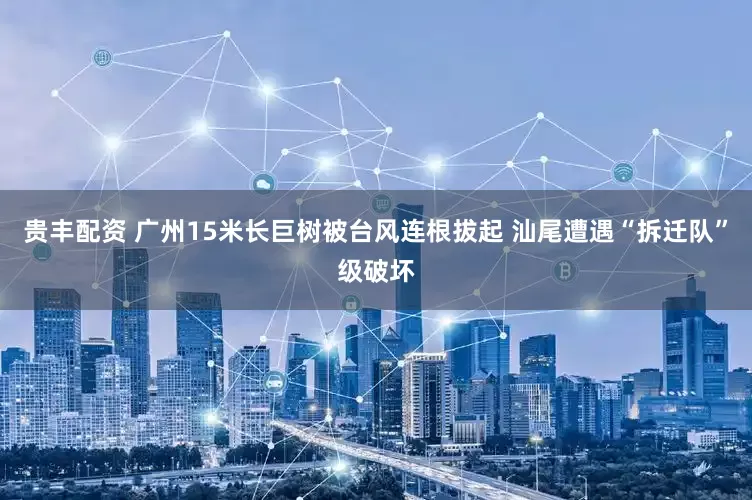贵丰配资 广州15米长巨树被台风连根拔起 汕尾遭遇“拆迁队”级破坏